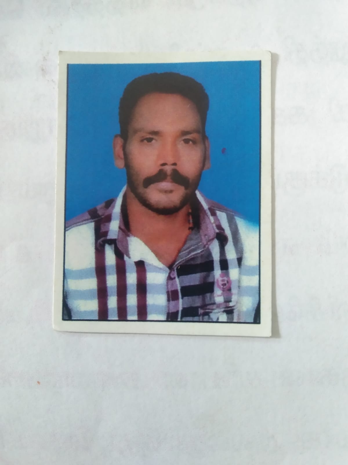 RAJA KUMAR